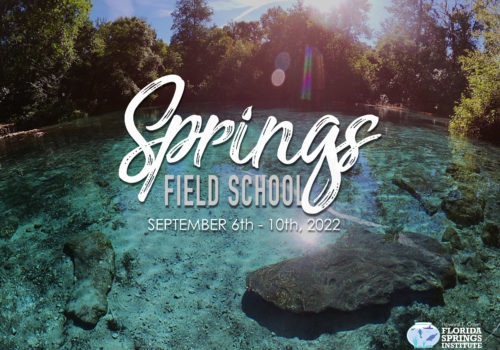springs field school