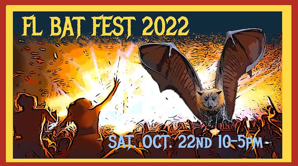 florida bat festival 2022