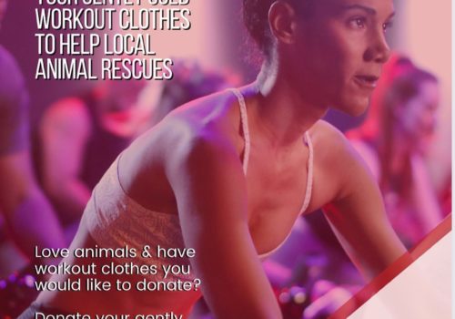 donate at cycle bar