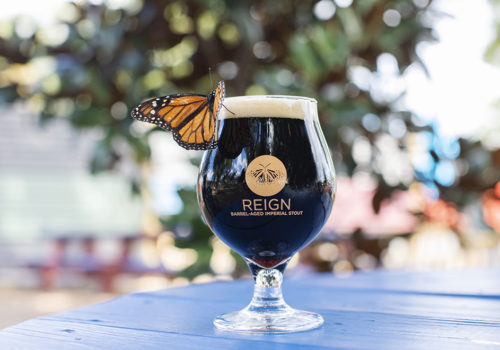 butterfly on a glass of beer