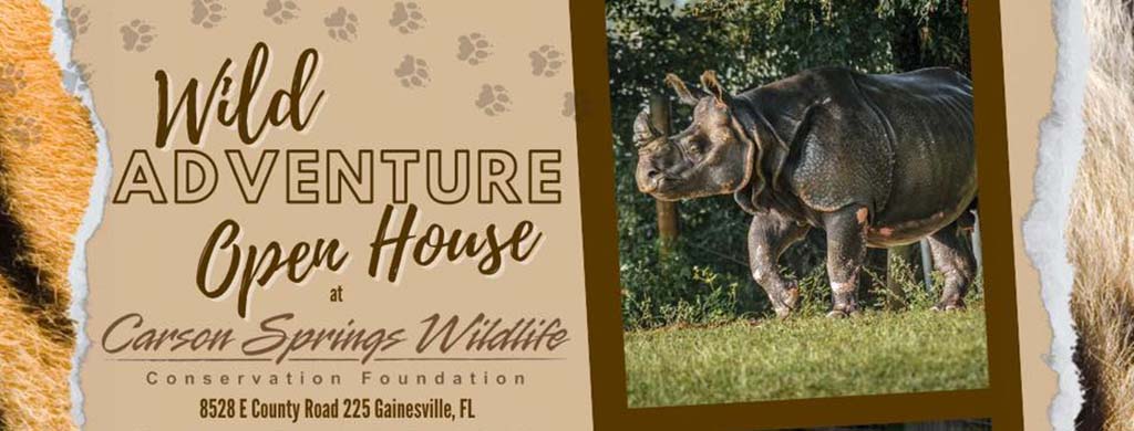 wild adventure open house