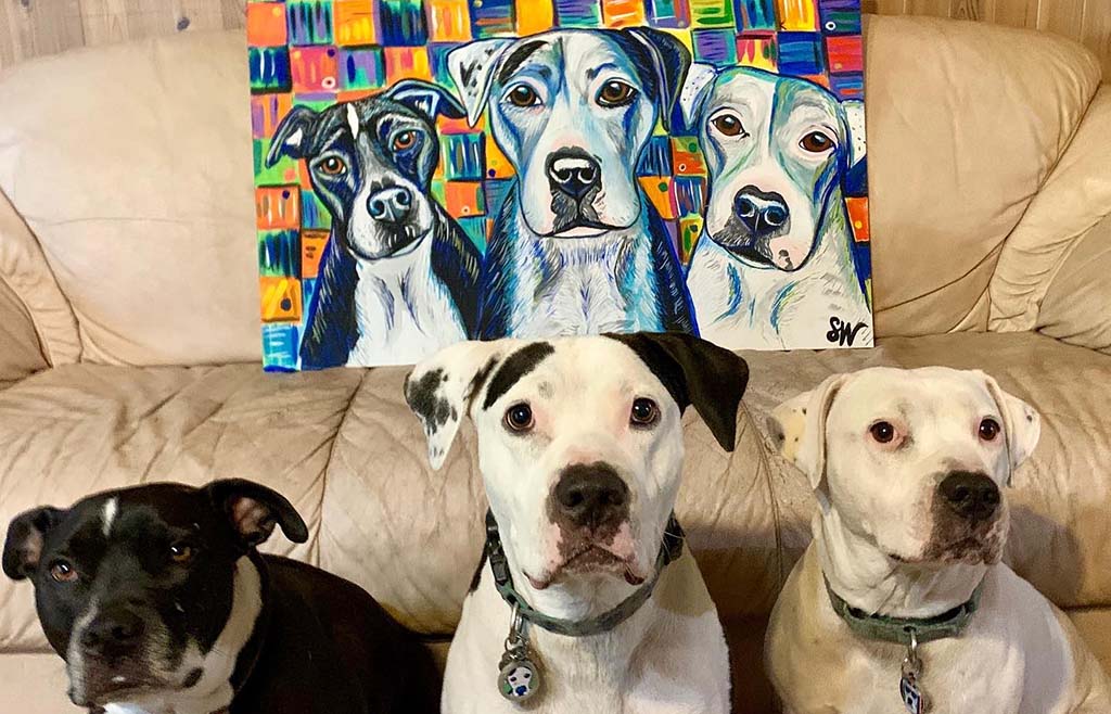 pets and pet portraits