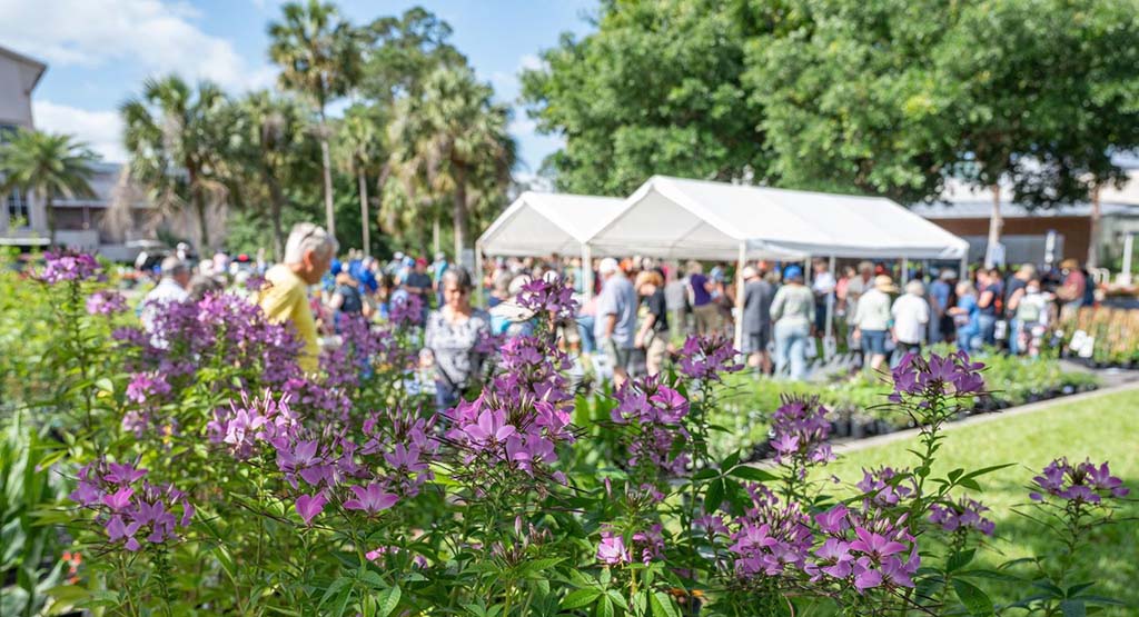 flowering plants a fall plant sale