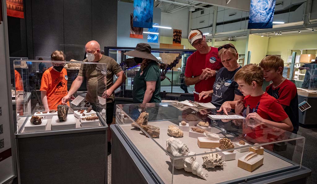 fossil exhibit and museum attendees