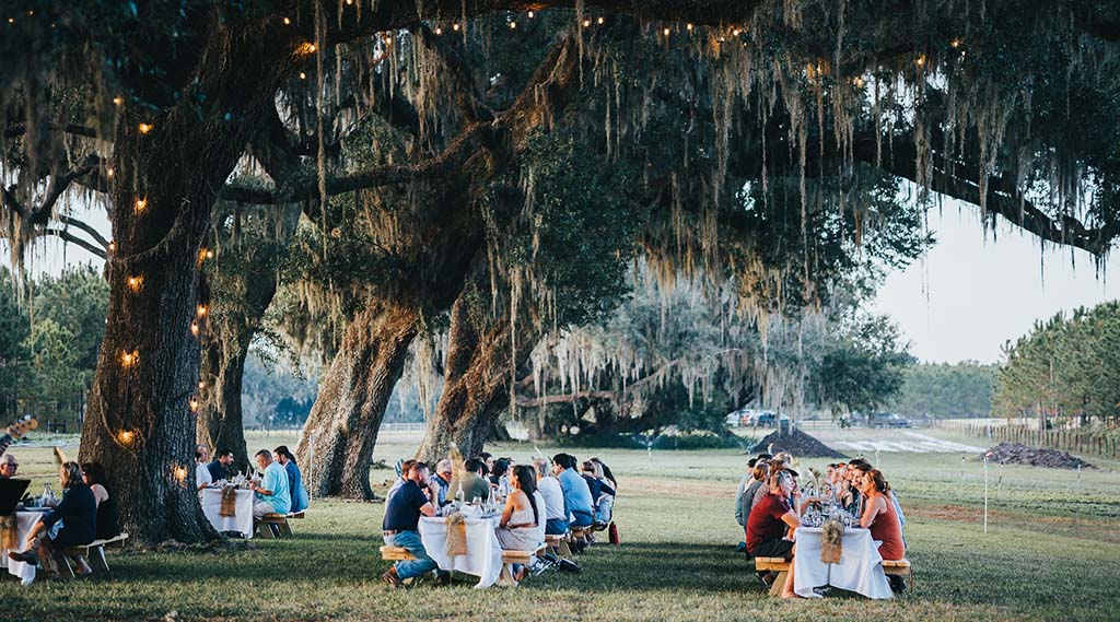 swallotail farm dining experience