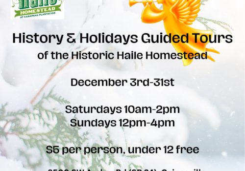 history and holidays guided tours