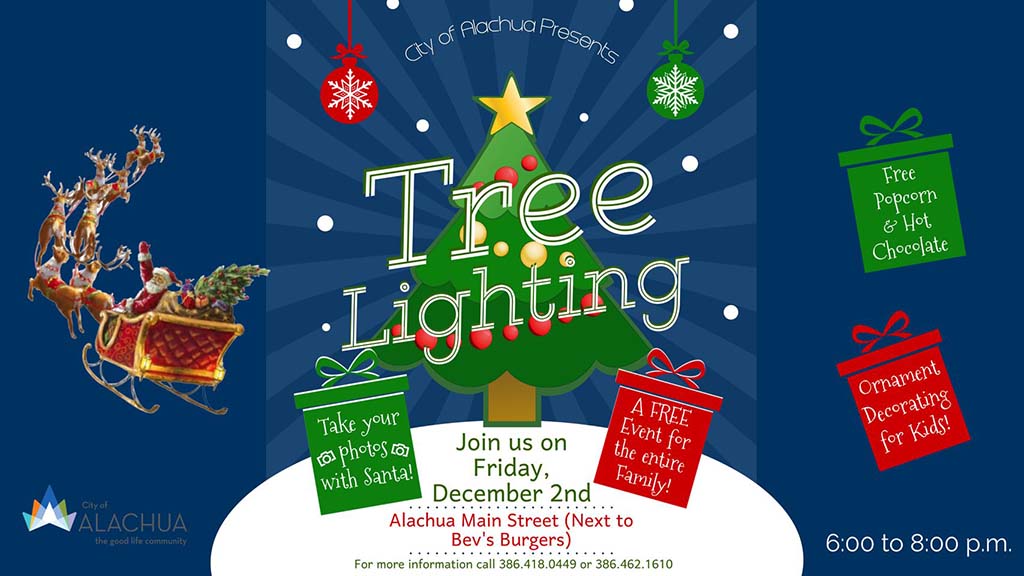 alachua tree lighting