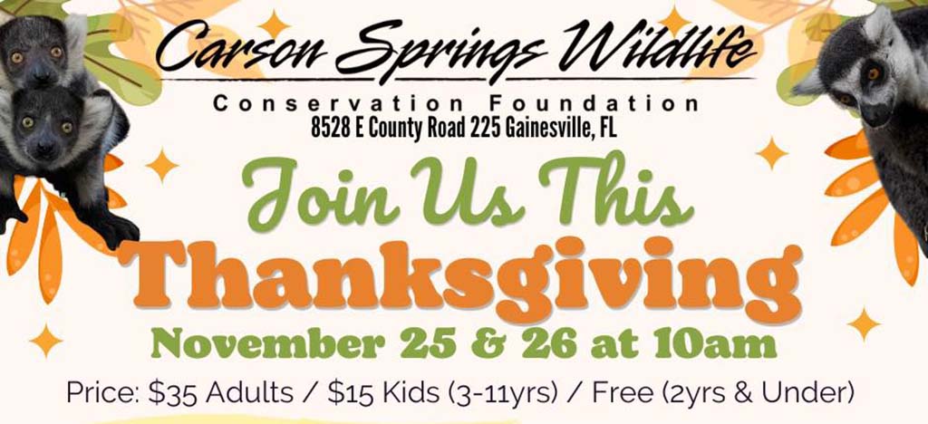 thanksgiving wildlife tour