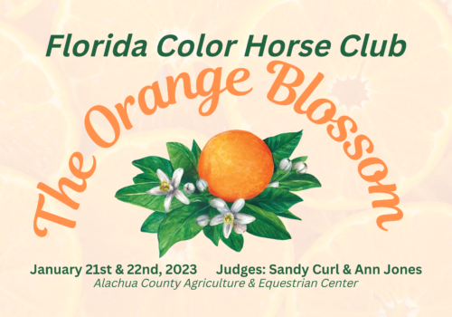 orange blossom horse show