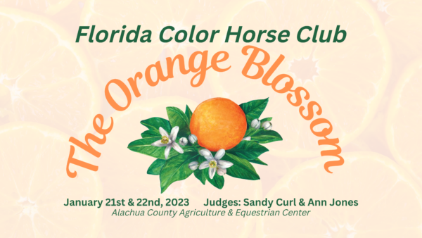 orange blossom horse show