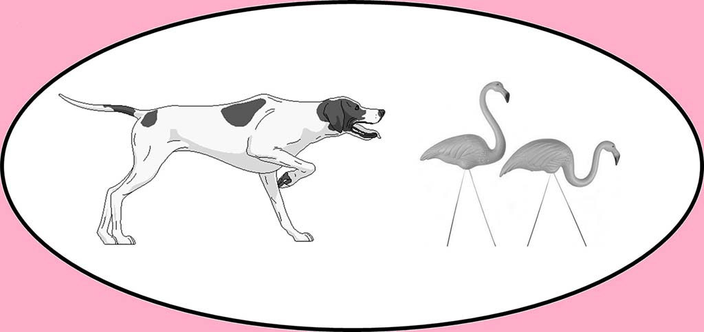 illustration of dog walking behind lawn flamingo decorations