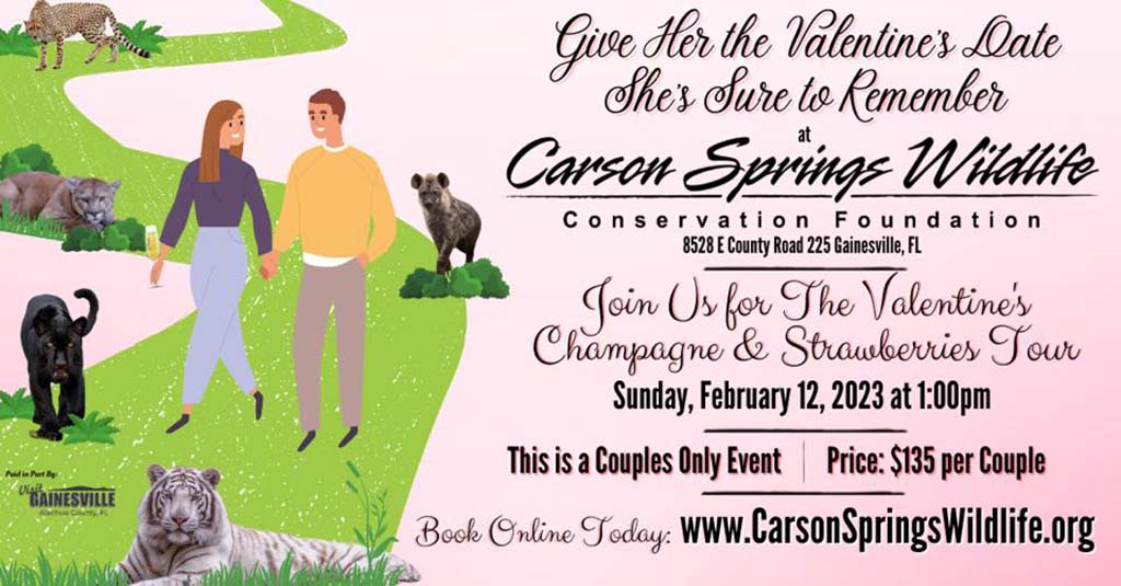 carson springs couples tour
