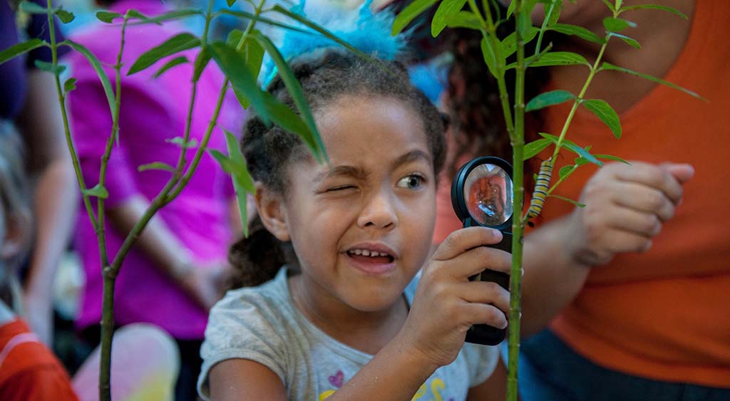 girl holding magnifying glass looking at catepilar