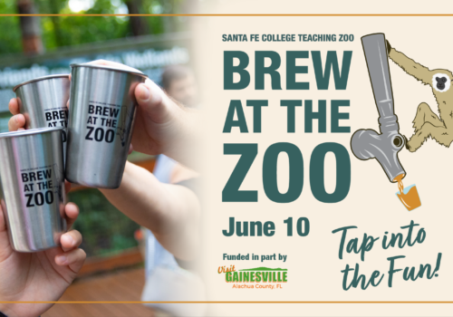 Brew at the Zoo, June 10. Tap into the Fun! Image of gibbon hanging onto beer tap, and 3 stainless steel brew at the zoo cups cheersing