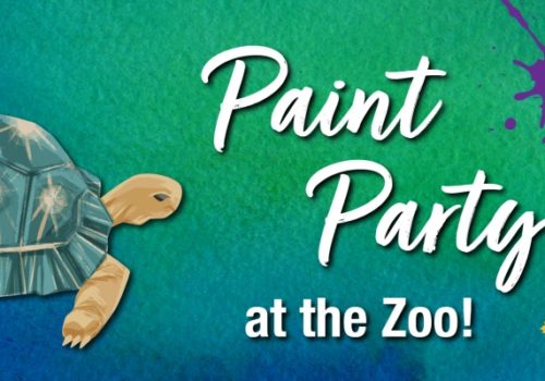 Paint Party at the Zoo. Image of tortoise with paint splatters