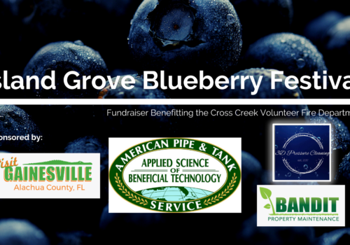 Island Grove Blueberry Festival