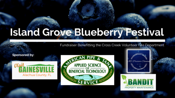 Island Grove Blueberry Festival