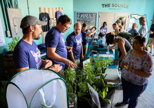 Museum staff in purple shirts talk to patrons about pollinators