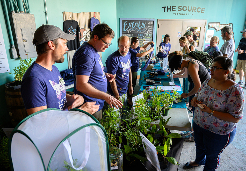 Museum staff in purple shirts talk to patrons about pollinators