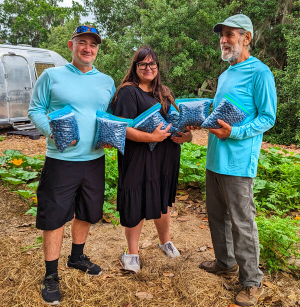 people holding bags of blueberries