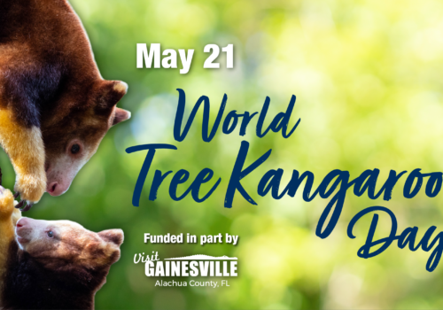 World Tree Kangaroo Day. May 21, 2023. Visit Gainesville logo