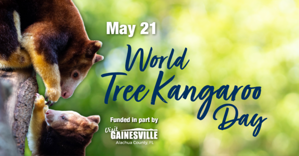 World Tree Kangaroo Day. May 21, 2023. Visit Gainesville logo