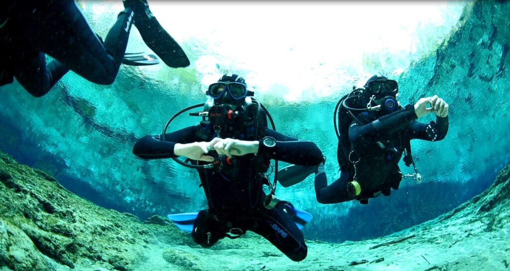 scuba divers under water
