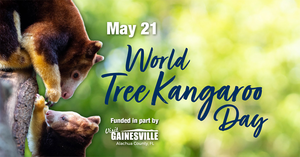 world tree kangaroo day