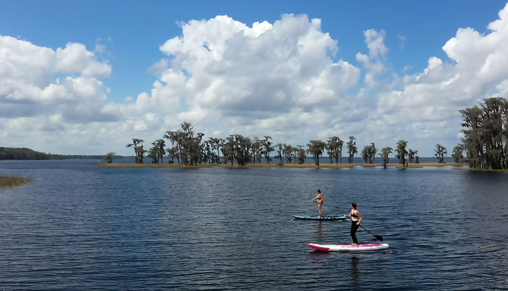 people on paddleboards on lake