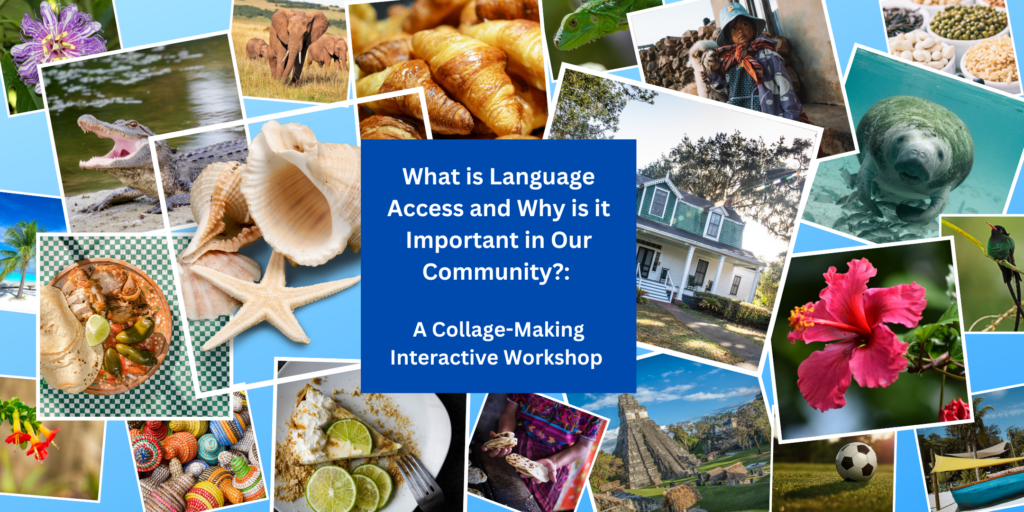 what is language access and why is it important in our community