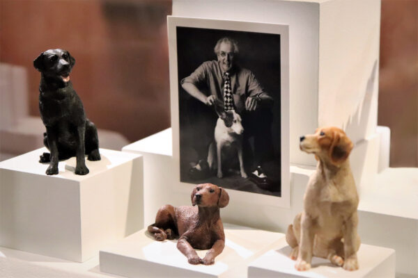 dog sculptures on display at the harn museum