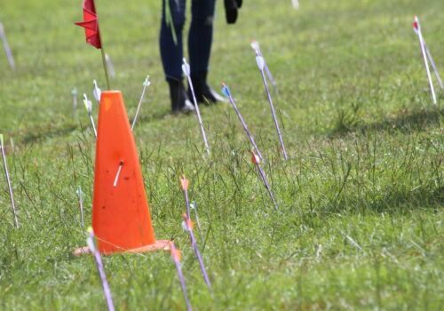 arrows in the ground