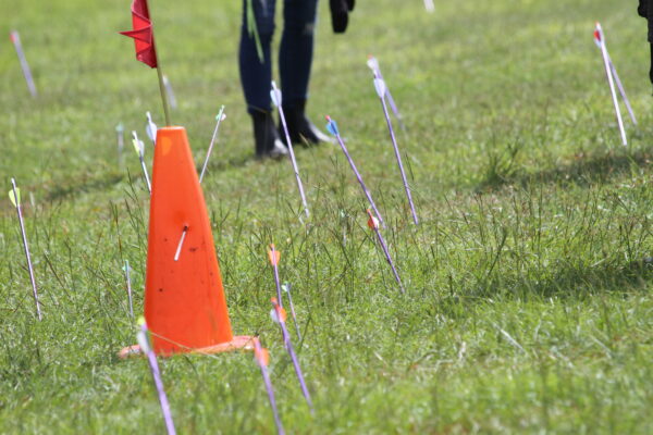 arrows in the ground