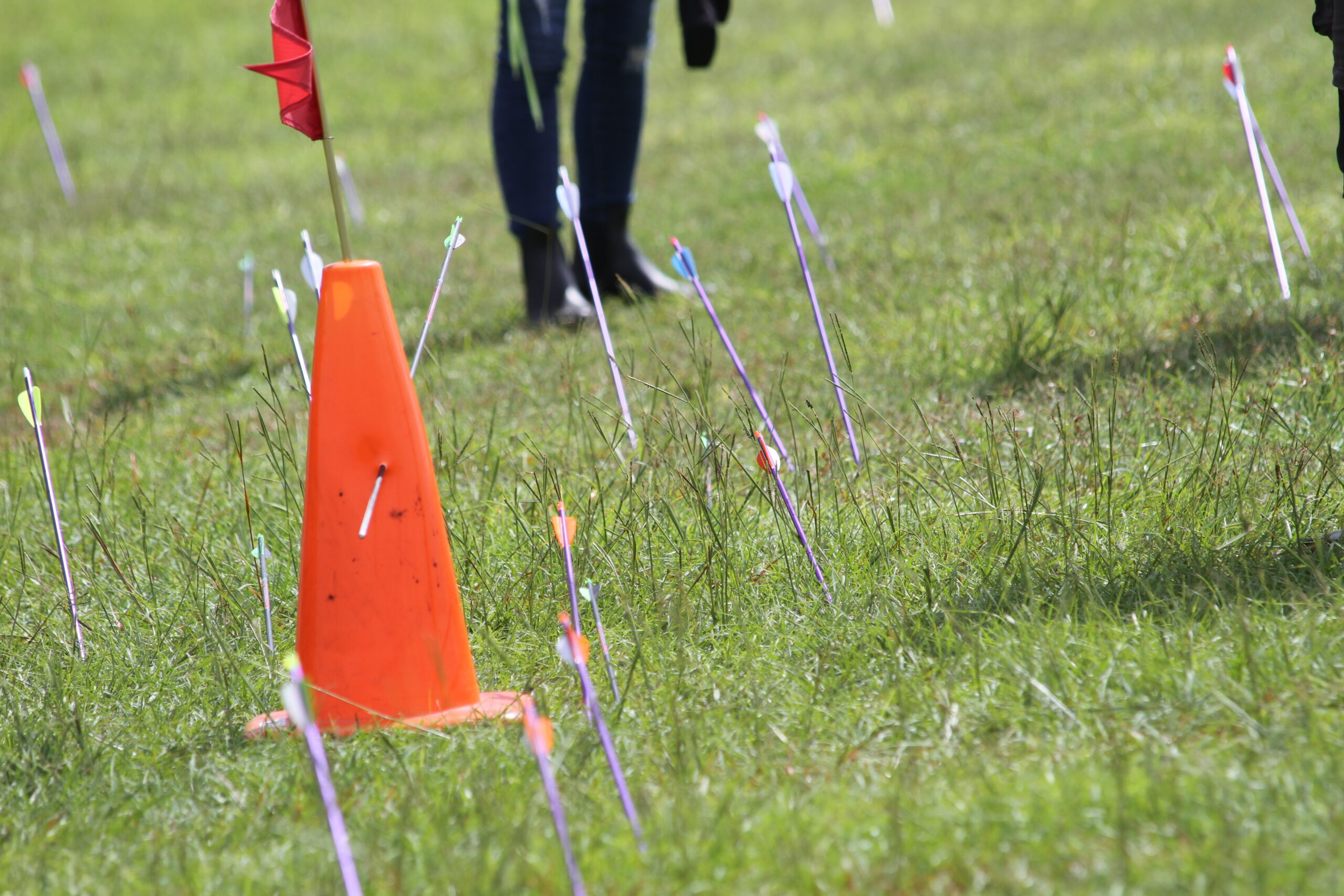 arrows in the ground