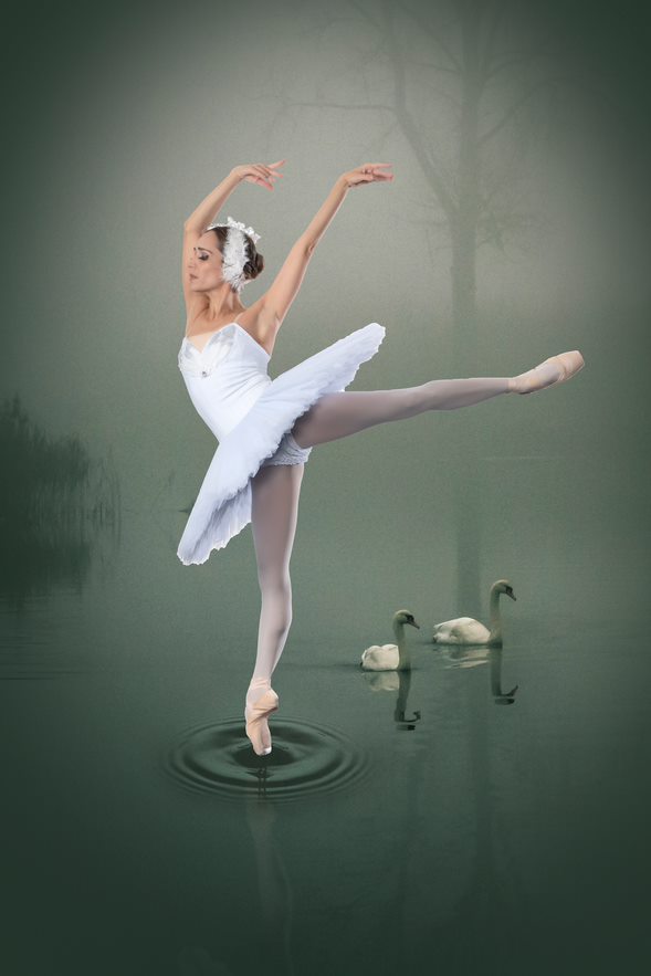 ballet dancer in a swan lake