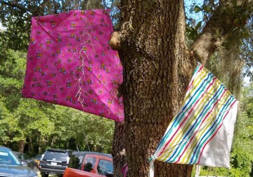 picture of kite in tree