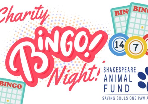 bingo nihg