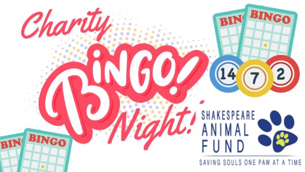 bingo nihg