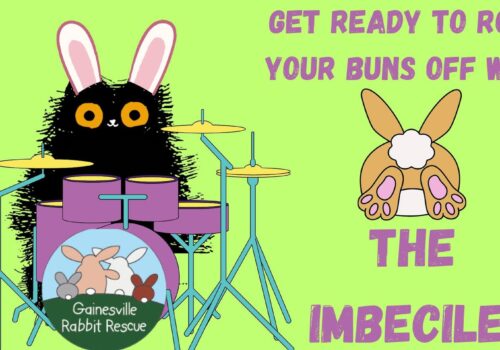 blackadder mascot on drumset wearing bunny ears