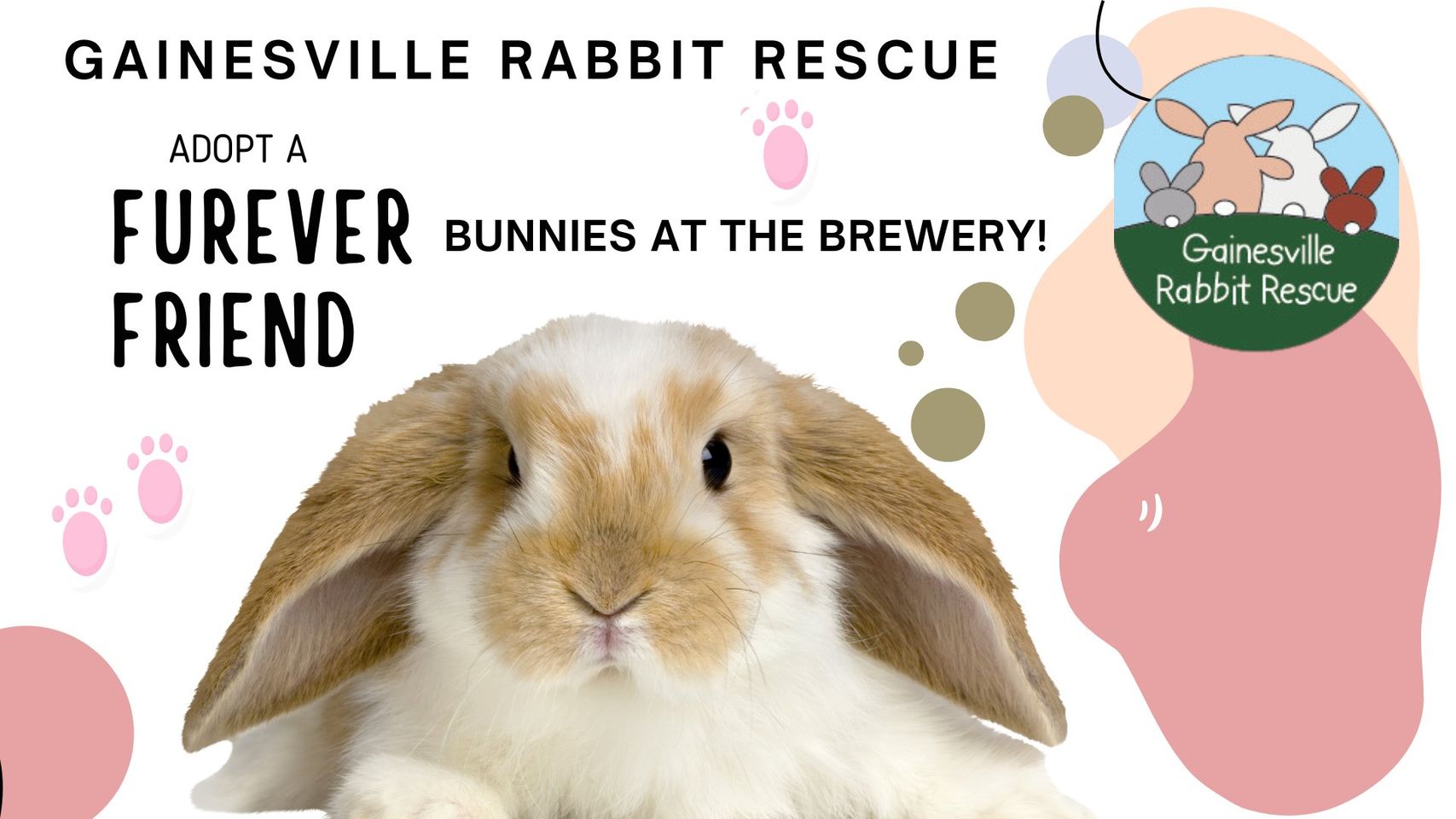 bunnies at the brewery