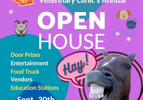 Spring Hill Equine Open House Flyer