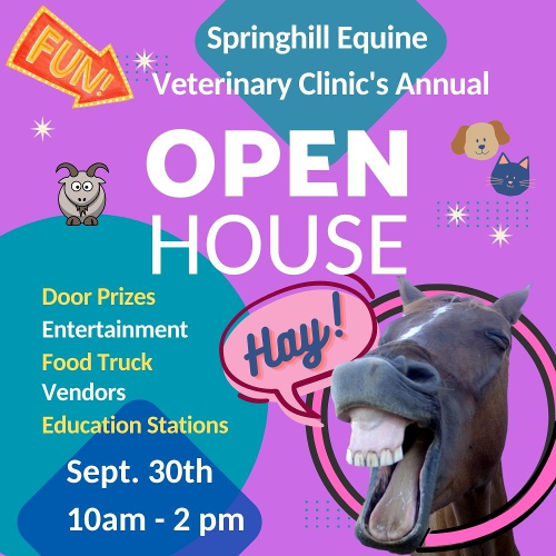 Spring Hill Equine Open House Flyer