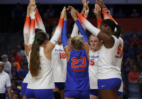 gators volleyball players