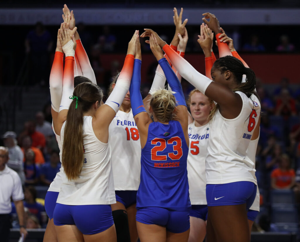 gators volleyball players