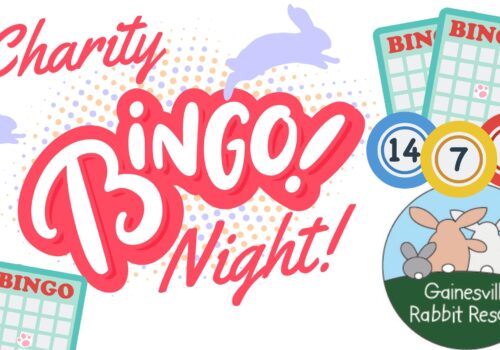 charity bingo night