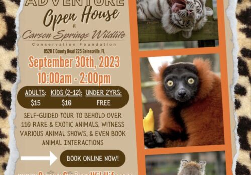 carson springs open house