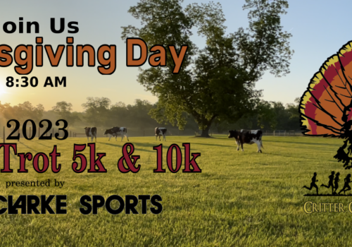 thanksgiving day turkey trot