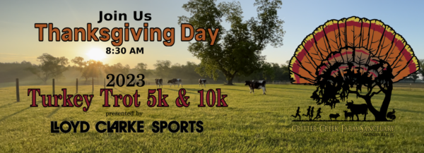 thanksgiving day turkey trot