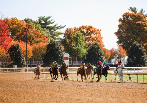 horses racing at track