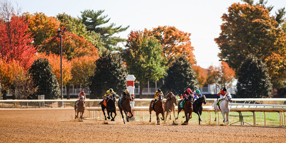 horses racing at track